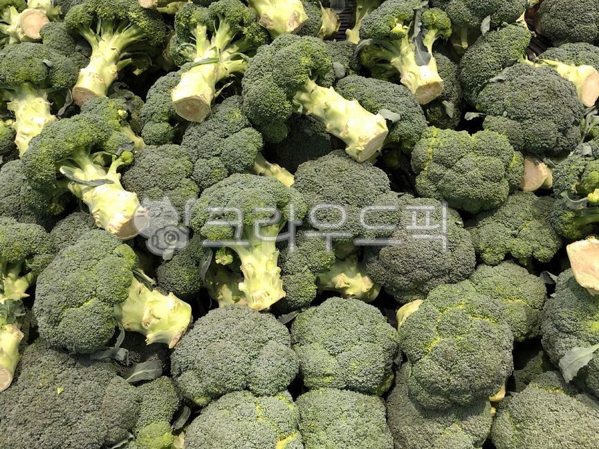 salad,broccoli,vegetable,vegetables,Food Ingredients,ingredients,cooking,greenvegetables,health,food ingredients,green vegetables,food,vitamin,vitamins,healthy,animated,fresh