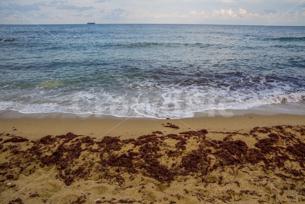 해변,바다,하늘,자연,파도,beach,sea,sky,natural,wave,sealine,수평선,자연,풍경,nature,landscape,해변,바다,beach,sea