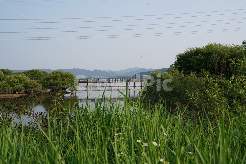 수변로,산책길,호수공원,호수길,호수로,탑정저수지,논산저수지