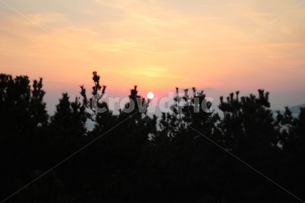 노을,일몰,해질녘,나무,일출,석양,해넘이,해돋이,저녁노을,주황빛하늘,소나무,숲,자연,풍경,감성사진,하늘,태양,노을풍경,저녁,아침,고요함,평온함,휴식,여행,힐링,산,소나무숲,자연광,명상,낭만,분위기,감동,실루엣풍경,색감,아름다움,여유,여명,빛,붉은하늘,일상탈출