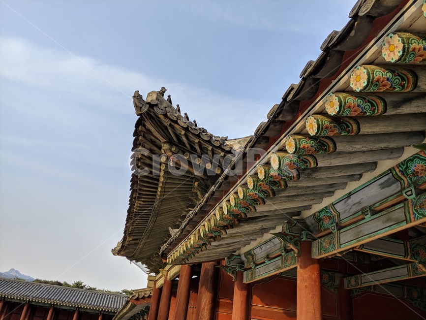 한옥,창경궁,조선,고궁,처마,옛,역사,서울,궁,기와,관광,전통