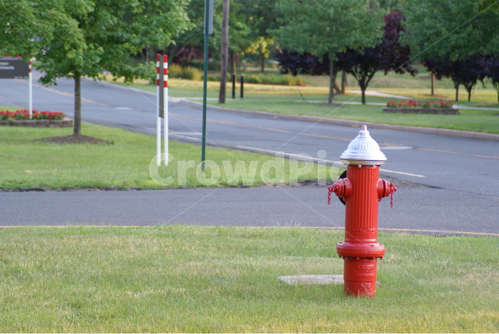 소화전,빨강,도로,잔디,나무,자연,풍경,nature,landscape,hydrant,fire hydrant