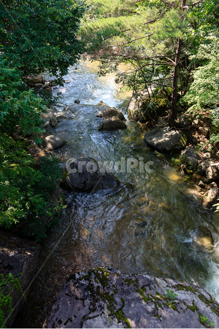 제천자드락길,계곡물,골짜기,숲,제천,자드락길,시원한,자연,풍경,nature,landscape,water,물,outdoors,옥외,stream,흐름,creek,작은 만