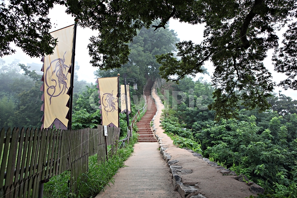 공주산성,성,성곽,산성,길,둘레길,숲,숲길,안개,돌담,담,여름,풍경,벽,방어벽,나무,식물,유네스코등제