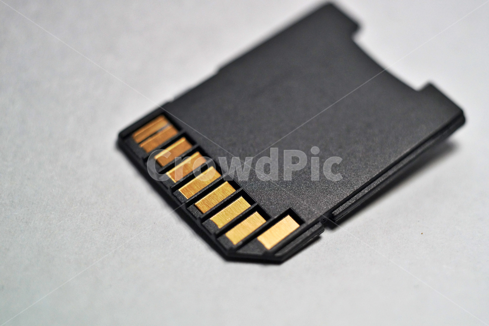 data,Memory,sd memory,small storage device,memory card,Small digital device