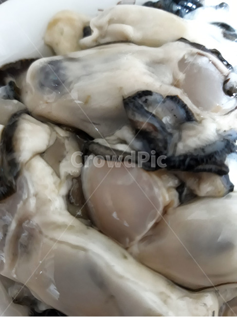 굴,회,해산물,생굴,음식,안주,겨울음식,한국음식,한국요리,식재료,요리,food,cook,meal,dishes,수산물,seafood,겨울,음식,식재료,요리,food,cook,meal,dishes,food reserves,수산물,해산물,fishery products,seafood