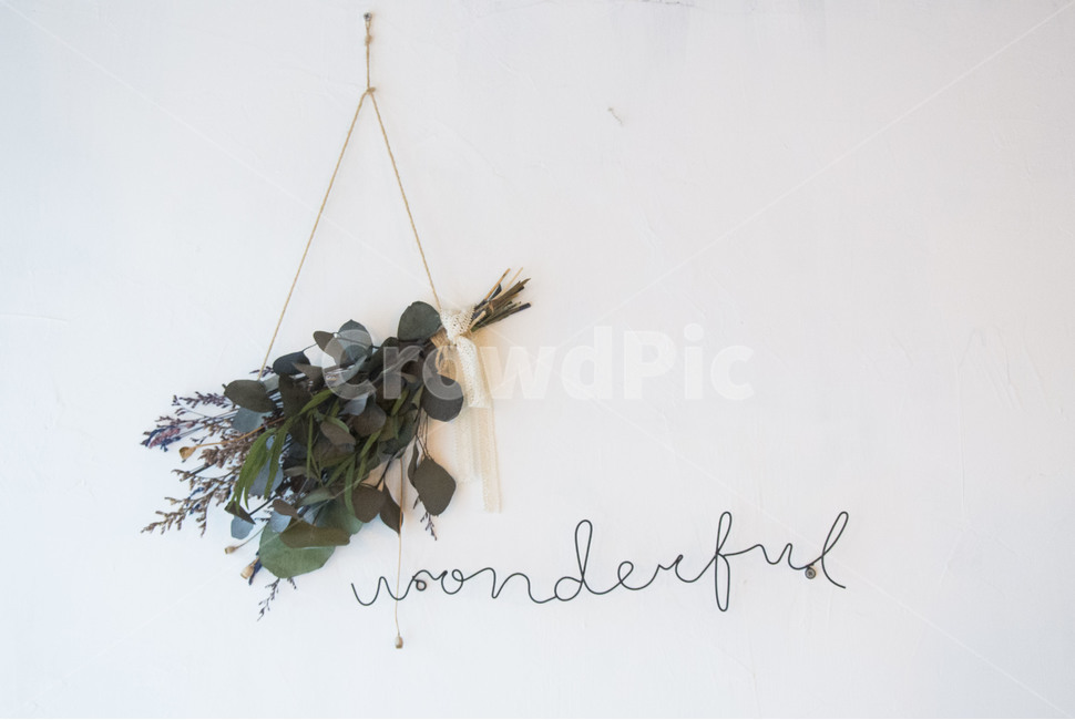 장식,글자,원더풀,화초,꽃,decoration,wonderful,flower
