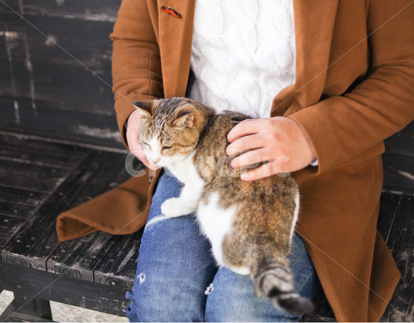 고양이,사람,손,휴머니즘,청바지,베이지코트,냥이,얌전한,정류소,정류장,벤치,나무벤치,무릎,동물,animal,포유류,mammal,고양이,cat,kitten,kitty,사람,인물,인간,human,person,신체일부,몸,body
