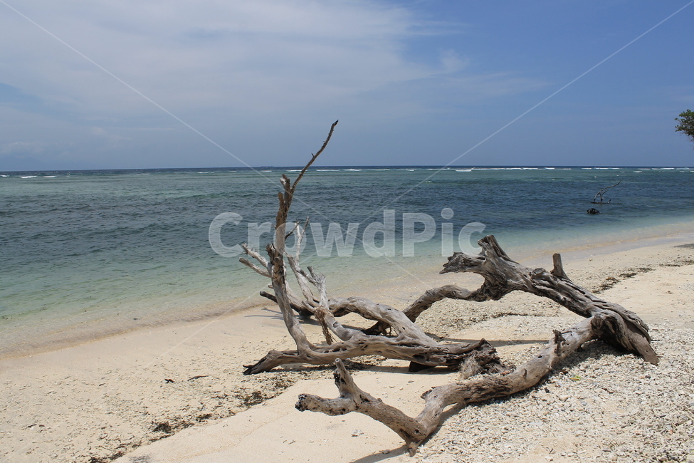 인도네시아,길리,해변,indonesia,gili,beach,나무해변,beachandtrees,vacation,고즈넉