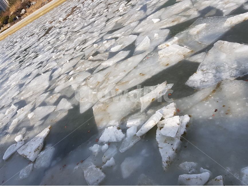 빙하,해빙,한파,얼음,강,겨울,계절,winter,season,자연,풍경,nature,landscape