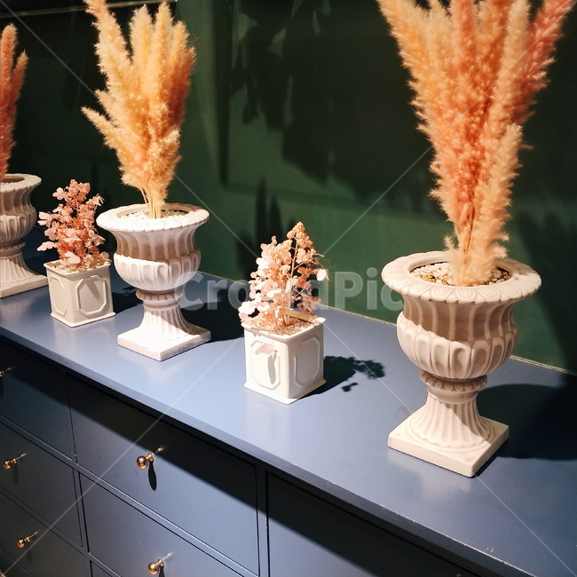실내,조명,인테리어,조화,꽃,초록,파랑,green,blue,실내용화초,화분,화초,house plant