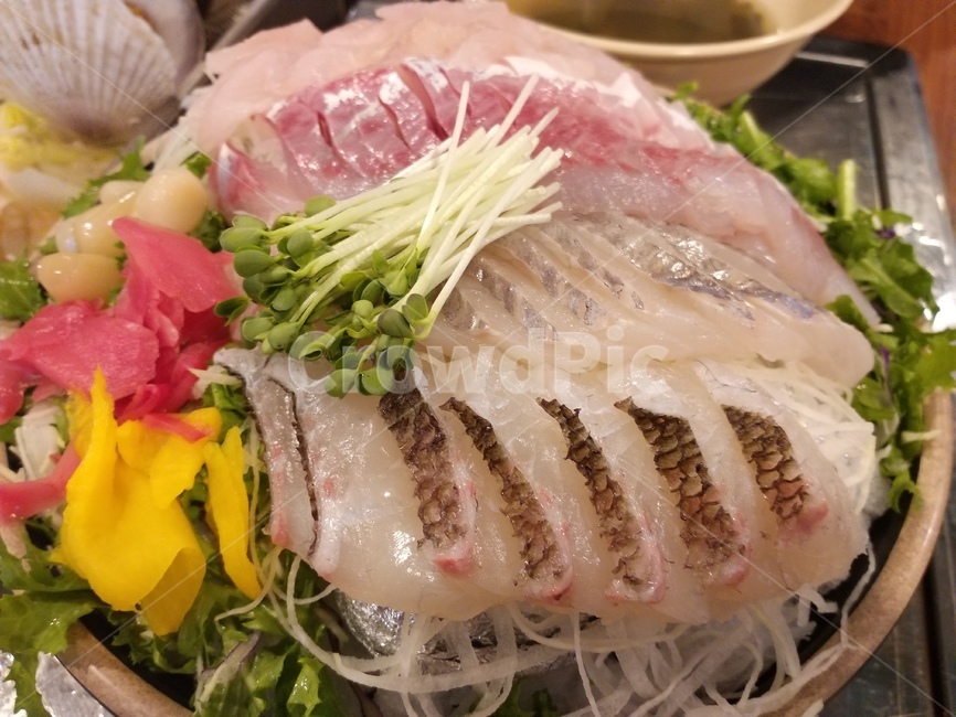 음식,회,해산물,바다,횟집