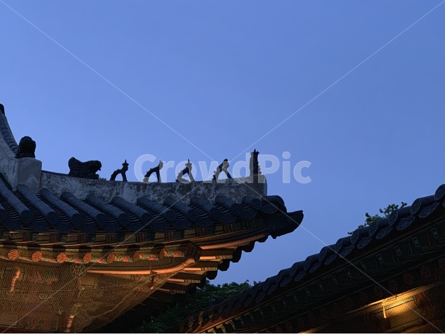 야경,밤,색감,조각,한옥,고궁,궁,처마,기와,야경,밤,풍경,nightscape,night,landscape,한국전통,한국문화,korean traditional,korean culture,건축물,건물외관,exterior,building,structure,architecture,construction,animal,동물,bird,새