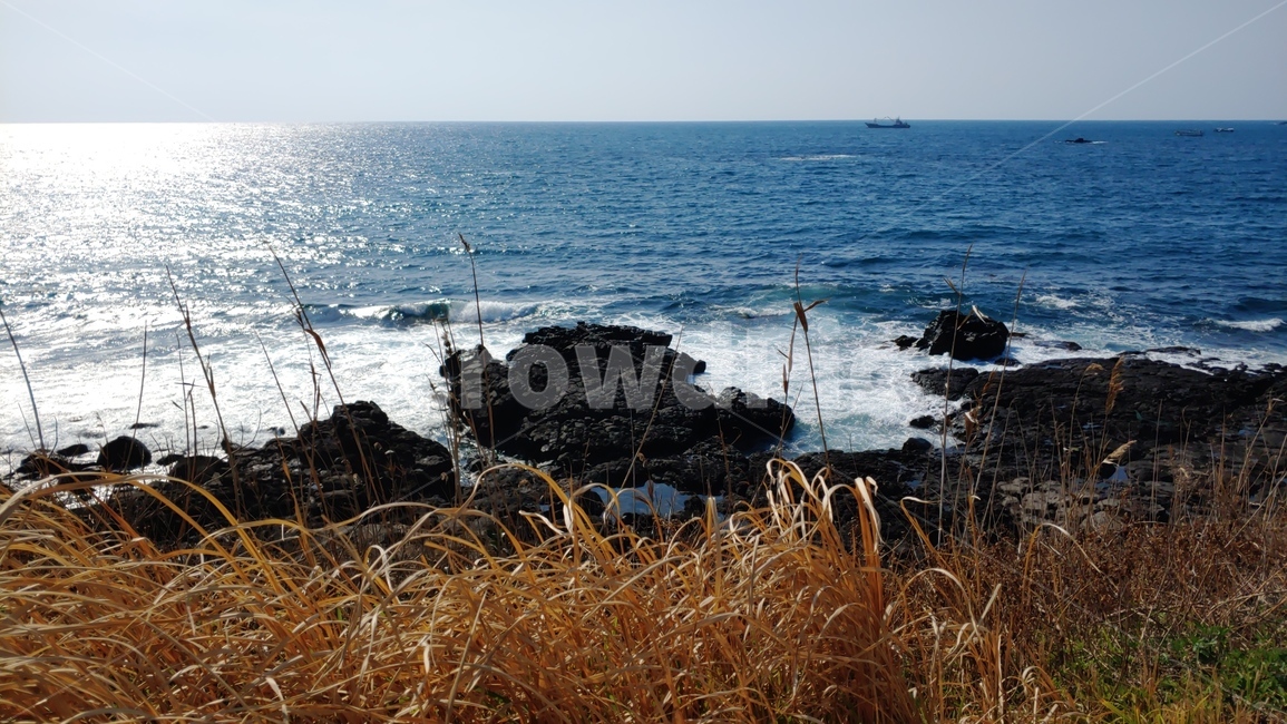 제주도,제주도서쪽해변,수월봉,수월봉지질공원,jejuislandglobalgeopark