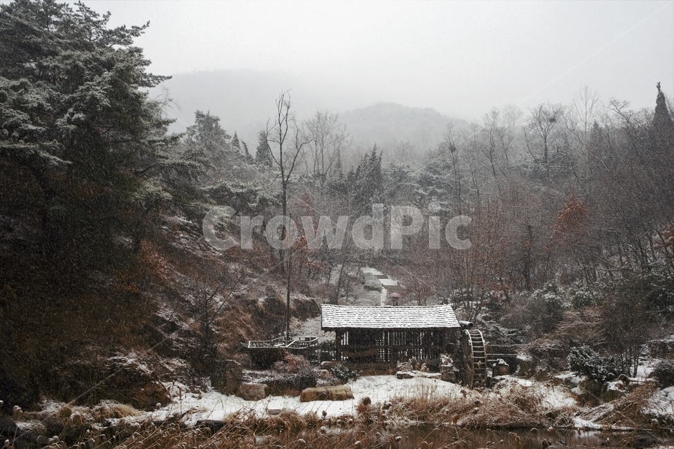겨울,눈,물레방아,너와집,자연,계절,winter,감성,기분,feeling,watermill,snow,지붕,숲,나무,갈대,홍제천,겨울,계절,winter,season,자연,풍경,nature,landscape,한국자연풍경,한국자연경관,korea nature landscape,시골,마을,country,rural,town,outdoors,옥외