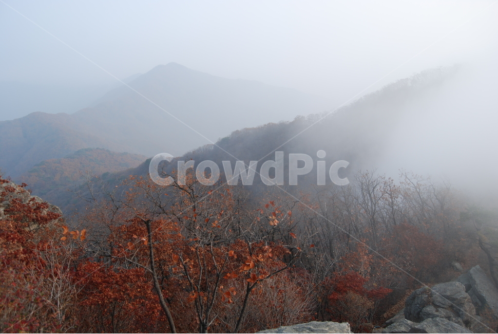 천마산,계절,안개,휴양림,탐방로,가을,계절,fall,autumn,season,자연,풍경,nature,landscape,한국자연풍경,한국자연경관,korea nature landscape,outdoors,옥외,weather,날씨