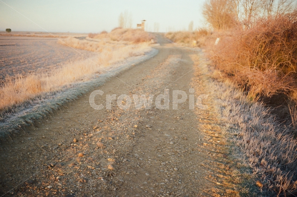 gravel,자갈,dirtroad,흙길,road,도로,타맥,asphalt,아스팔트,자연,tarmac,자연,풍경,nature,landscape