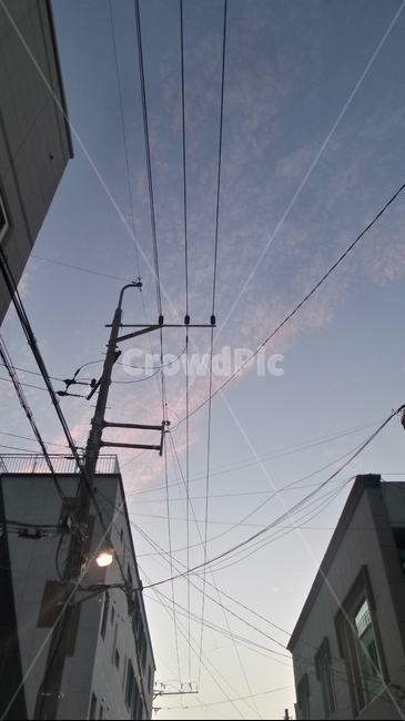 전선,전봇대,건물,노을,오후,분홍,하늘,보라색,보라,귀여운,sky,야외,실외,도시,풍경,city,landscape