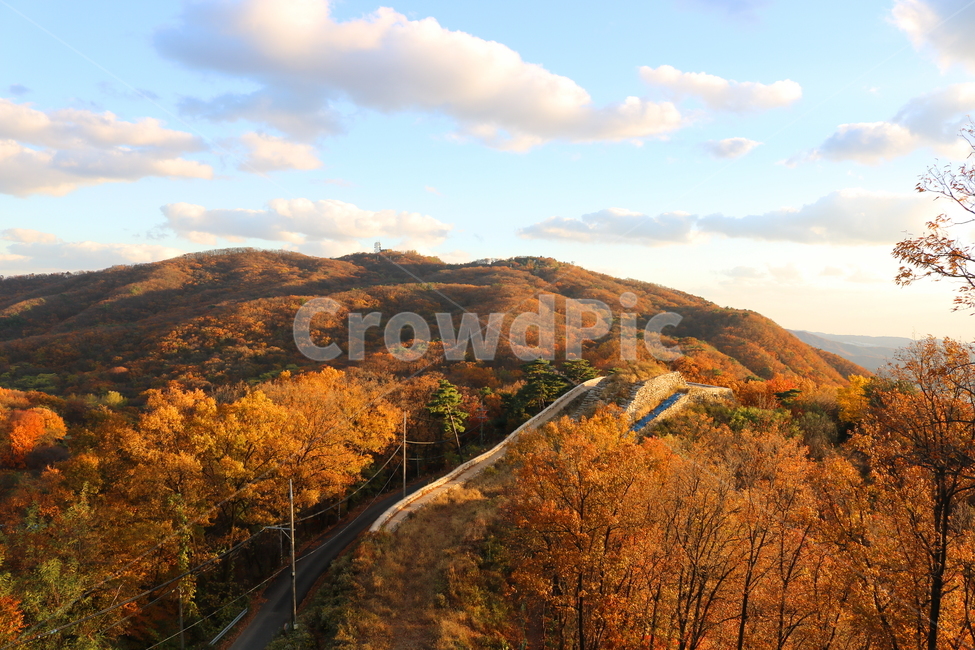 남한산성,산성,성벽,자연,풍경,가을,단풍,나무,공원,가을,계절,fall,autumn,season,nature,outdoors,옥외,hill,언덕