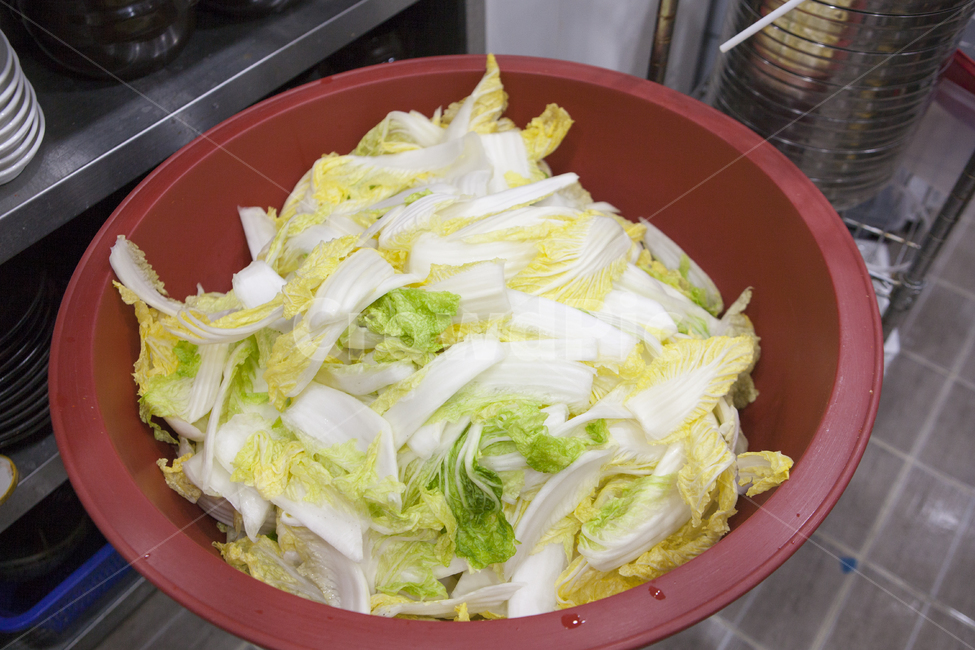 배추,겉절이,김치,김장,김장김치,음식,식재료,요리,food,cook,meal,dishes,food reserves,채소,야채,vegetables
