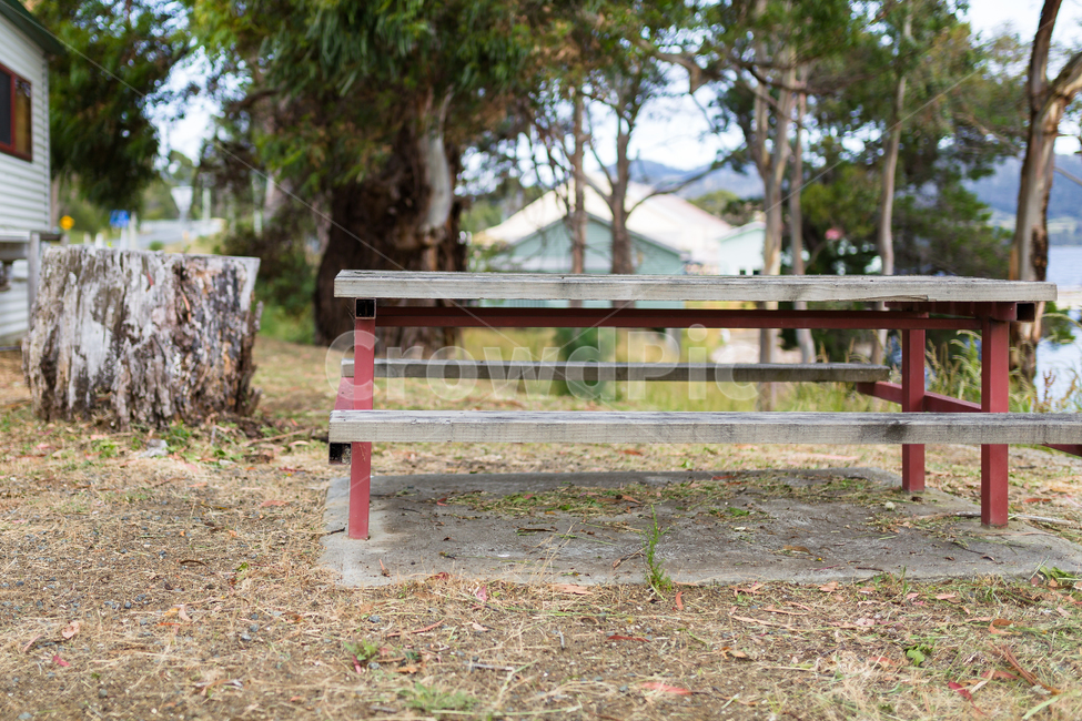 호주,australia,타즈매니아,tasmania,tree,시골,맑음,흐림,나무,의자,외로움,감정,감성,쓸쓸함