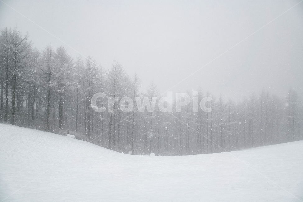 설경,설원,겨울,눈,스노우,화이트,겨울풍경,계절,겨울,계절,winter,season