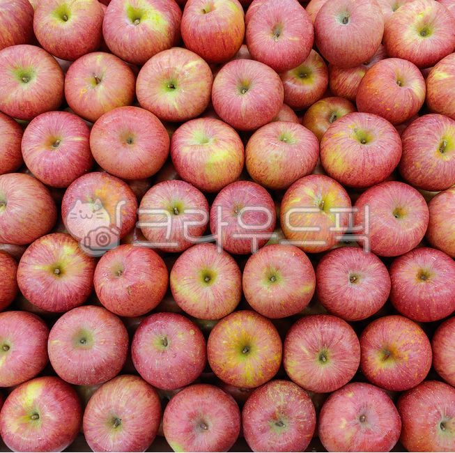사과, apple, 능금, 홍옥, 빨간사과, 사진,이미지,일러스트,캘리그라피 - Njigun123작가