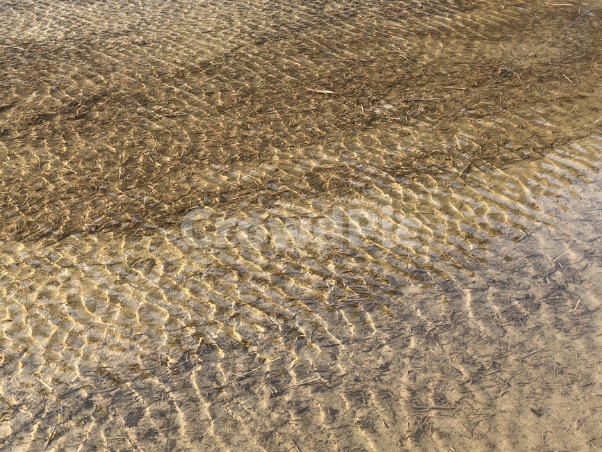 nature,논,논물,자연,outdoors,옥외,sand