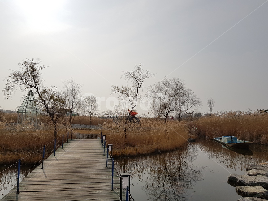 갈대,억새,다리,연못,배,조용한,가을,고요한,호수,pond,reed,bridge,flamegrass,가을,계절,fall,autumn,season,자연,풍경,nature,landscape,building,건물,boardwalk,산책로,water,물,waterfront,워터 프론트