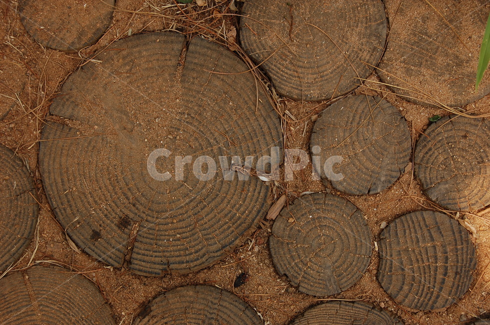 나무,흙,원형,나이테,나무조각,갈색,나무,trees,wood