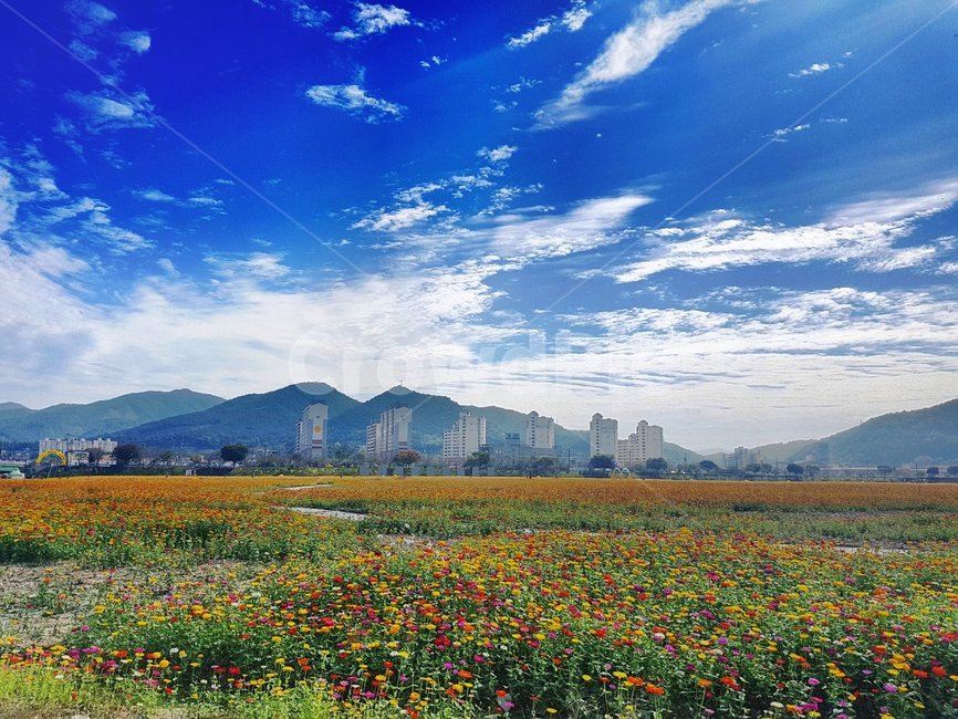 하늘,자연,풍경,맑음,여름,도시풍경