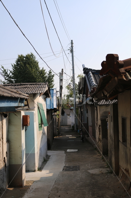 골목,골목길,거리,전봇대,길,길거리,골목길,alley,nature,자연,outdoors,옥외,building,건물,rural,농촌