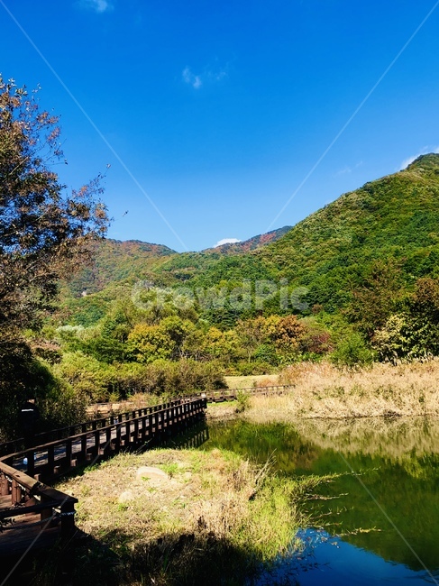 nature,자연,풍경,문경새재,문경