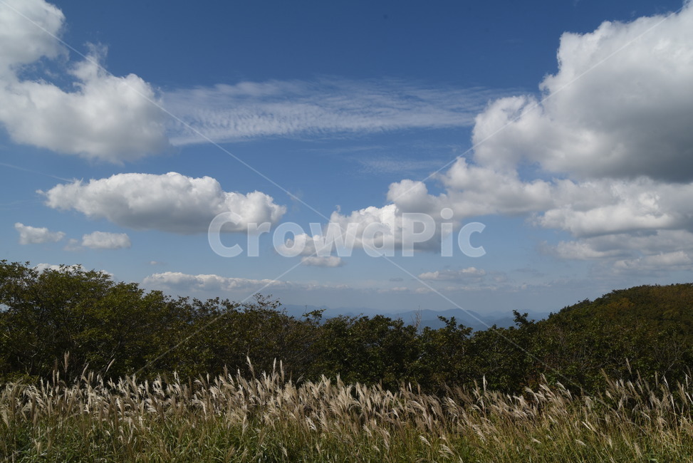 가을하늘,구름,nature,오솔길,자연,장안산,산,풍경,outdoors,road,자연,풍경,nature,landscape,weather,날씨,cumulus,적운,옥외,cloud,sky,하늘