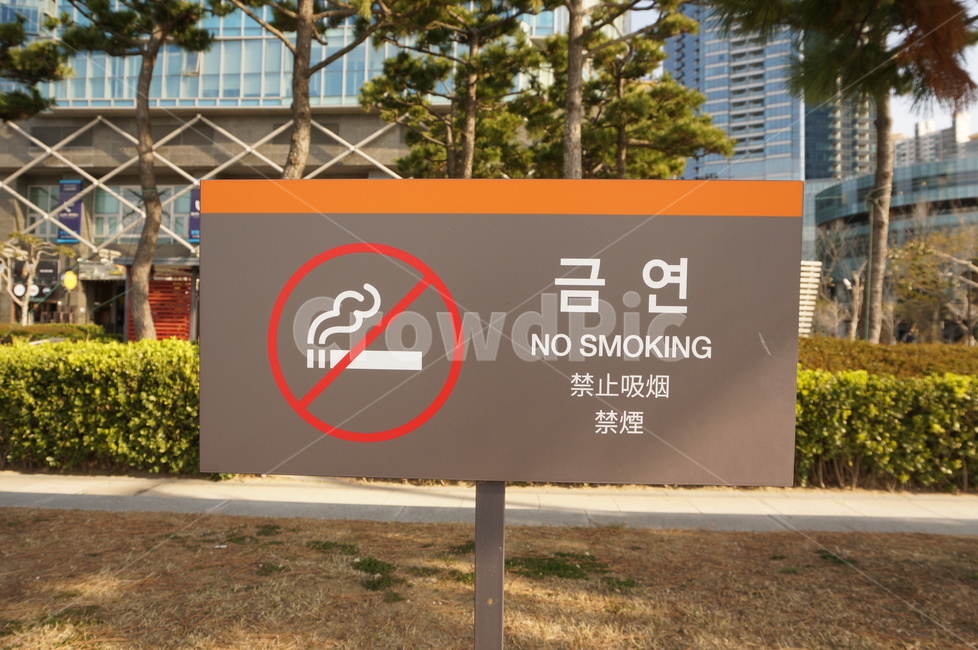 금연,표지판,안내,사인,금지