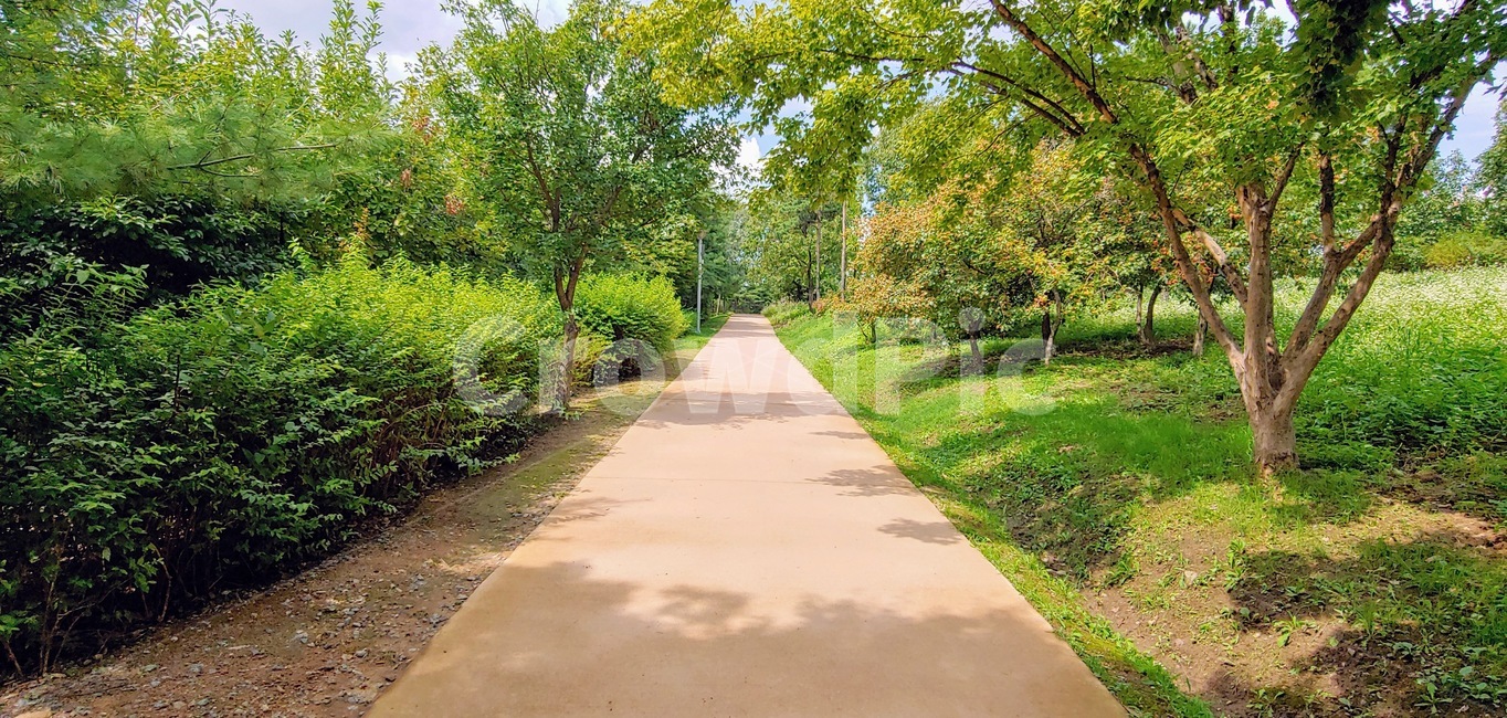 path,통로,sidewalk,보도,pavement,포장,서울숲