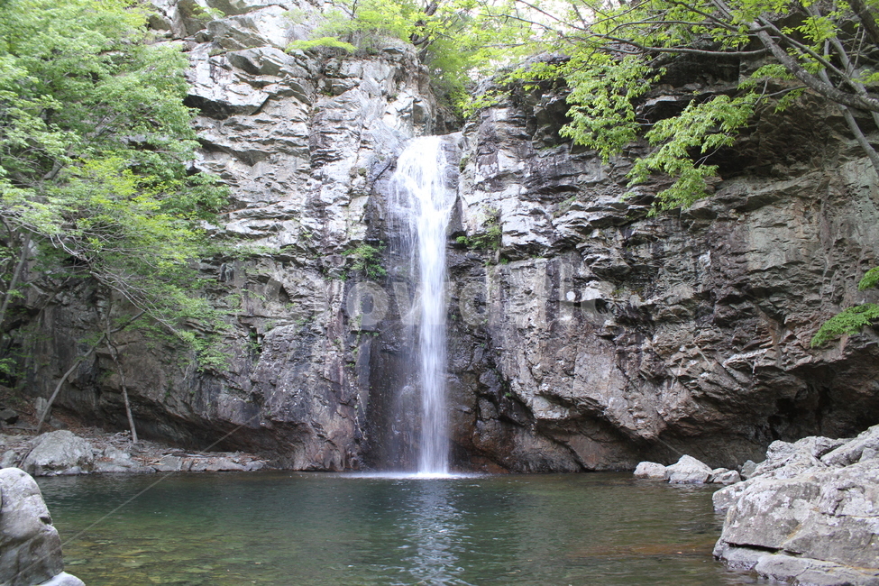 폭포,파래소폭포,풍경,여름풍경,waterfall,신불산,자연,풍경,nature,landscape,한국자연풍경,한국자연경관,korea nature landscape,river,강,water,물,outdoors,옥외