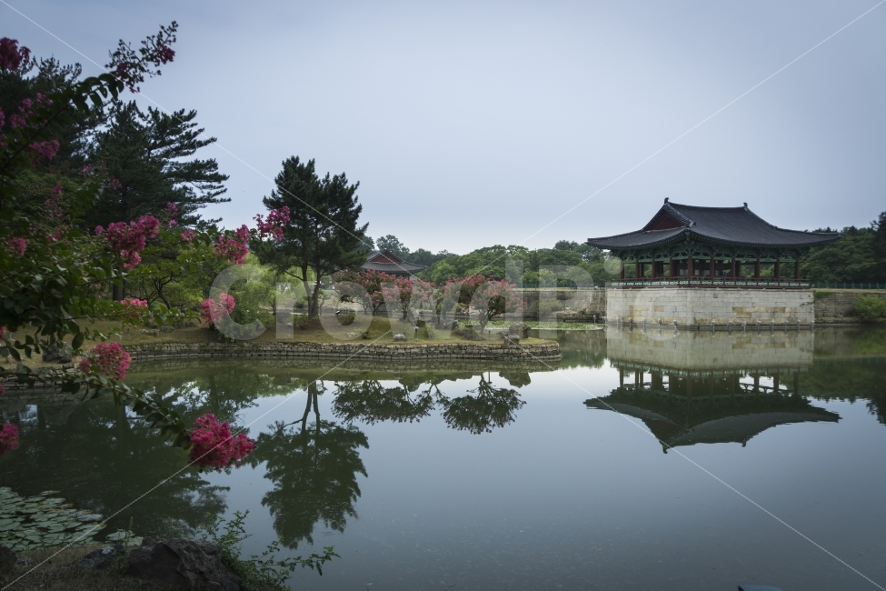 7월,경주,관광,안압지,여름,연못,오후,자연,한국,힐링,랜드마크,landmark,travel,랜드마크,landmark,tourist attraction,한국전통,한국문화,korean traditional,korean culture