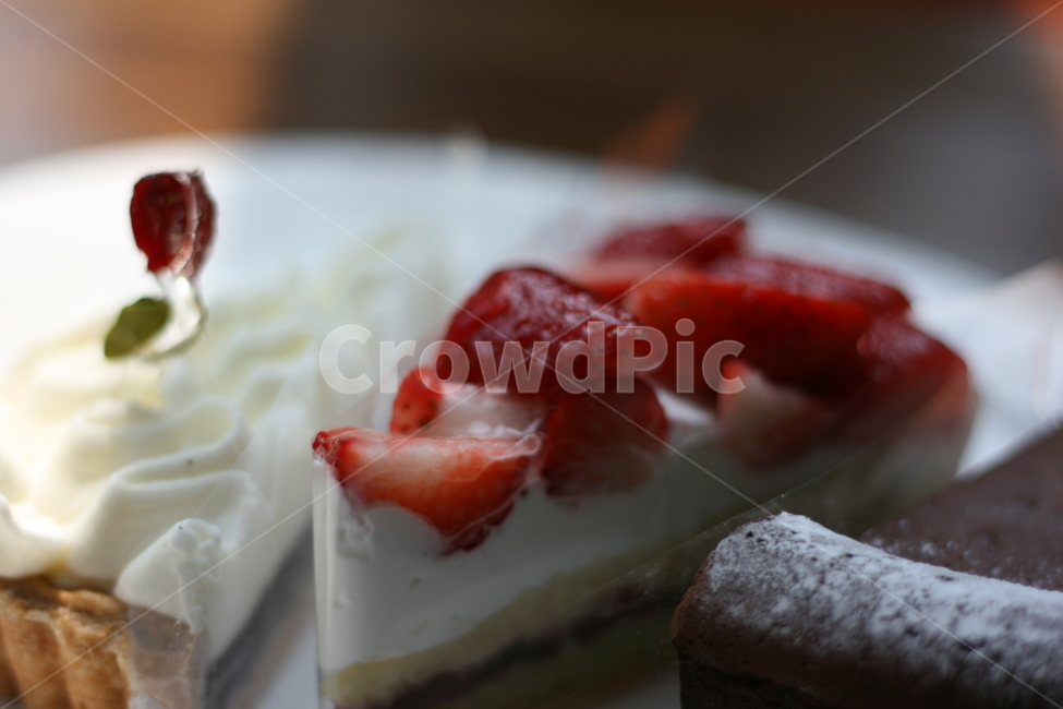 타르트,빵,맛집,케이크,음식,음식,식재료,요리,food,cook,meal,dishes,food reserves,디저트,간식,후식,dessert,snack