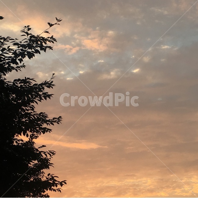 자연,풍경,하늘,노을,sky,skyview,sunset,scenery,자연,풍경,nature,landscape,outdoors,옥외,silhouette,실루엣