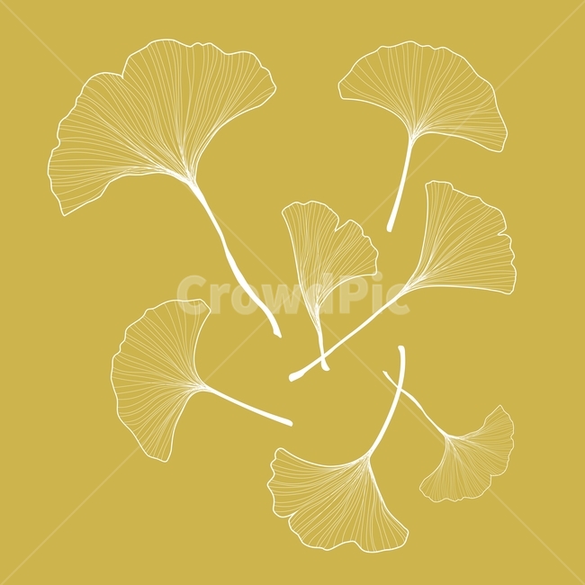 ginkgo,ginkgoleaf,leaf,leaves,vector,은행나무,은행잎,나뭇잎,자연,빈티지,vintage,가을,가을패턴,가을일러스트,은행잎일러스트,은행잎패턴,그래픽,일러스트레이션,graphic,illustration