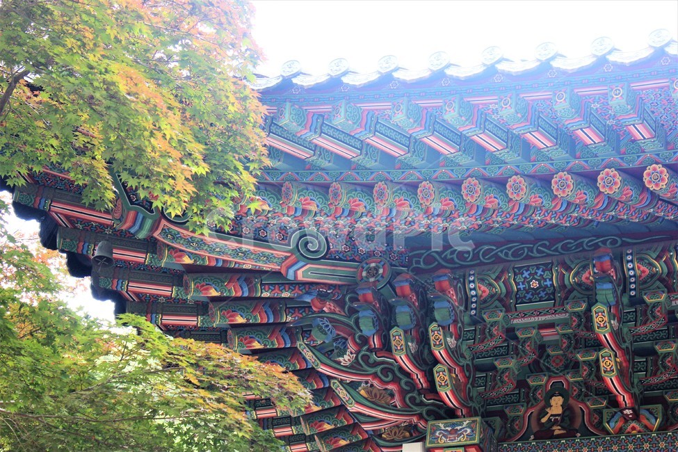한국전통,사찰,절,단청,기와,누각,koreatraditional,koreapattern,한국전통,한국문화,korean traditional,korean culture,건축물,건물외관,exterior,building,structure,architecture,construction