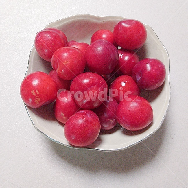 자두,과일,간식,음식,plum