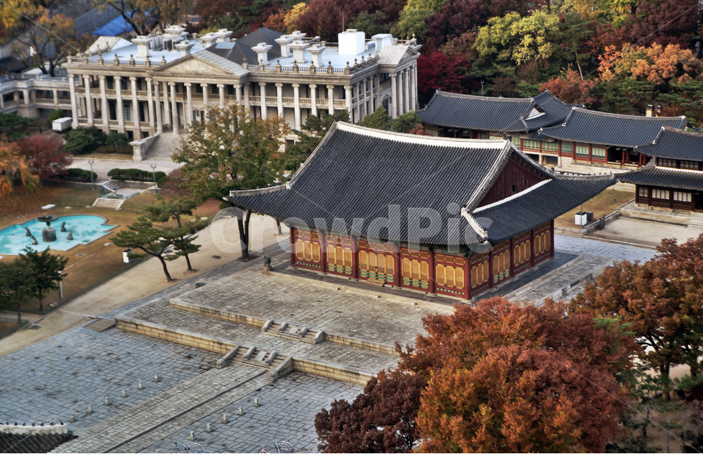 덕수궁,궁궐,가을,계절,서소문,도심,중화전,석조전,한국전통,한국문화,korean traditional,korean culture