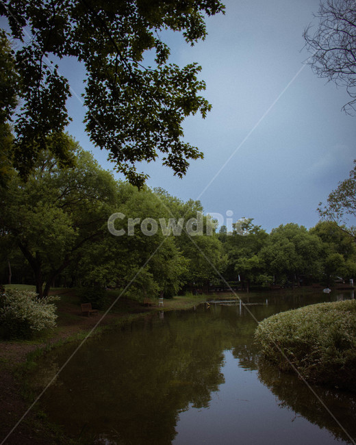 nature,자연,outdoors,옥외,water,물,lake,호수,강,river,tree,야외,하늘,sky,서울숲,자연,풍경,nature,landscape