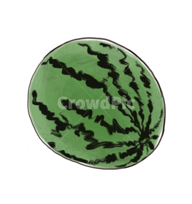 수박,과일,여름,watermelon,fruit,음식,food,수박그림,수박일러스트,수박손그림,과일일러스트,과일,열매,fruit,그래픽,일러스트레이션,graphic,illustration