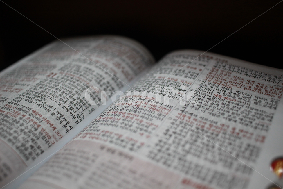 성경,내양을먹이라,말씀,성서,성경책,종교,신앙,religion,belief,faith