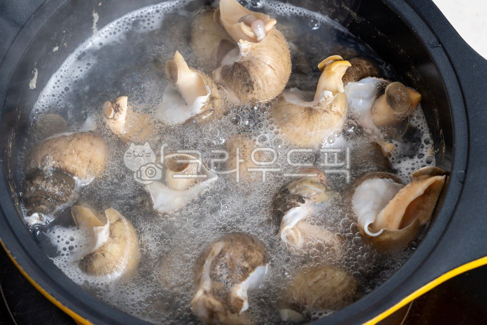 바다달팽이,요리된해산물,끓는물,조개류,해산물별미,해양요리,고급음식,껍질질감,seasnails,cookedseafood,boilingwater,shellfish,seafooddelicacy,marinecuisine,gourmetfood,shelltexture,골뱅이,culinaryarts