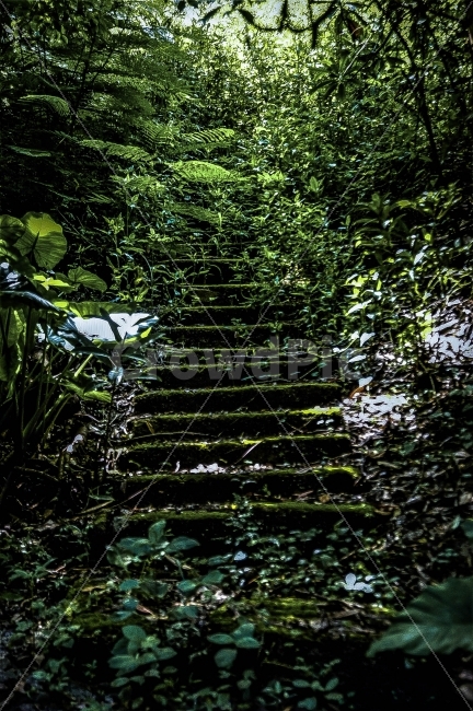 홍콩,칭차우섬,정취,하늘,계단,자연,풍경,nature,landscape,여름,계절,summer,season,해외,외국,세계,foreign,oversea,world,vegetation,초목,plant,식물,outdoors,옥외,land,땅,water,물
