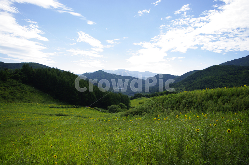 하늘,구름,산간,산,나무,식물,풍경,자연,풍경,nature,landscape,grassland,목초지,field,들,outdoors,옥외,rural,농촌,farm,농장